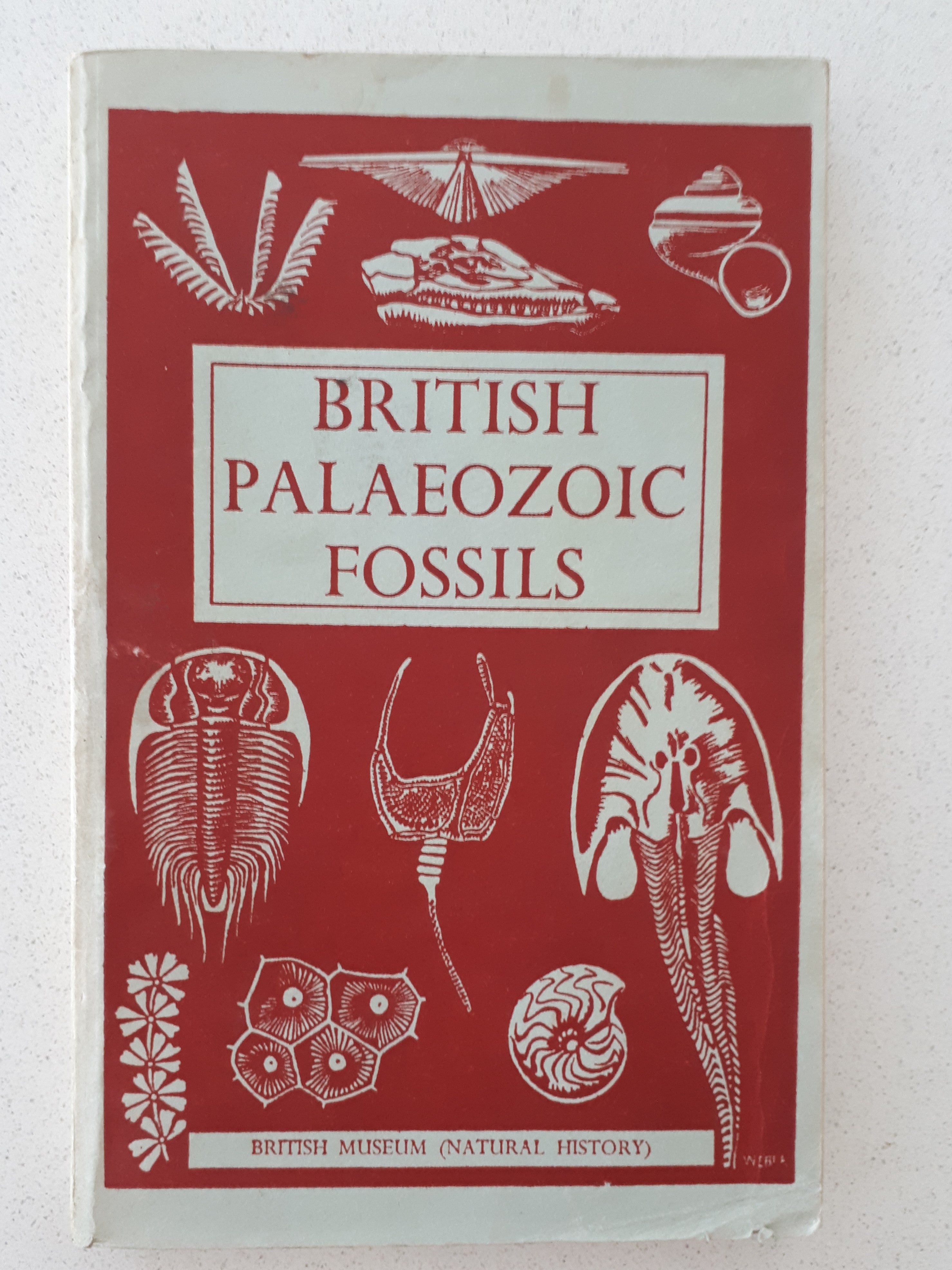 British Palaeozoic Fossils By The Natural History Museum – Morgan's ...