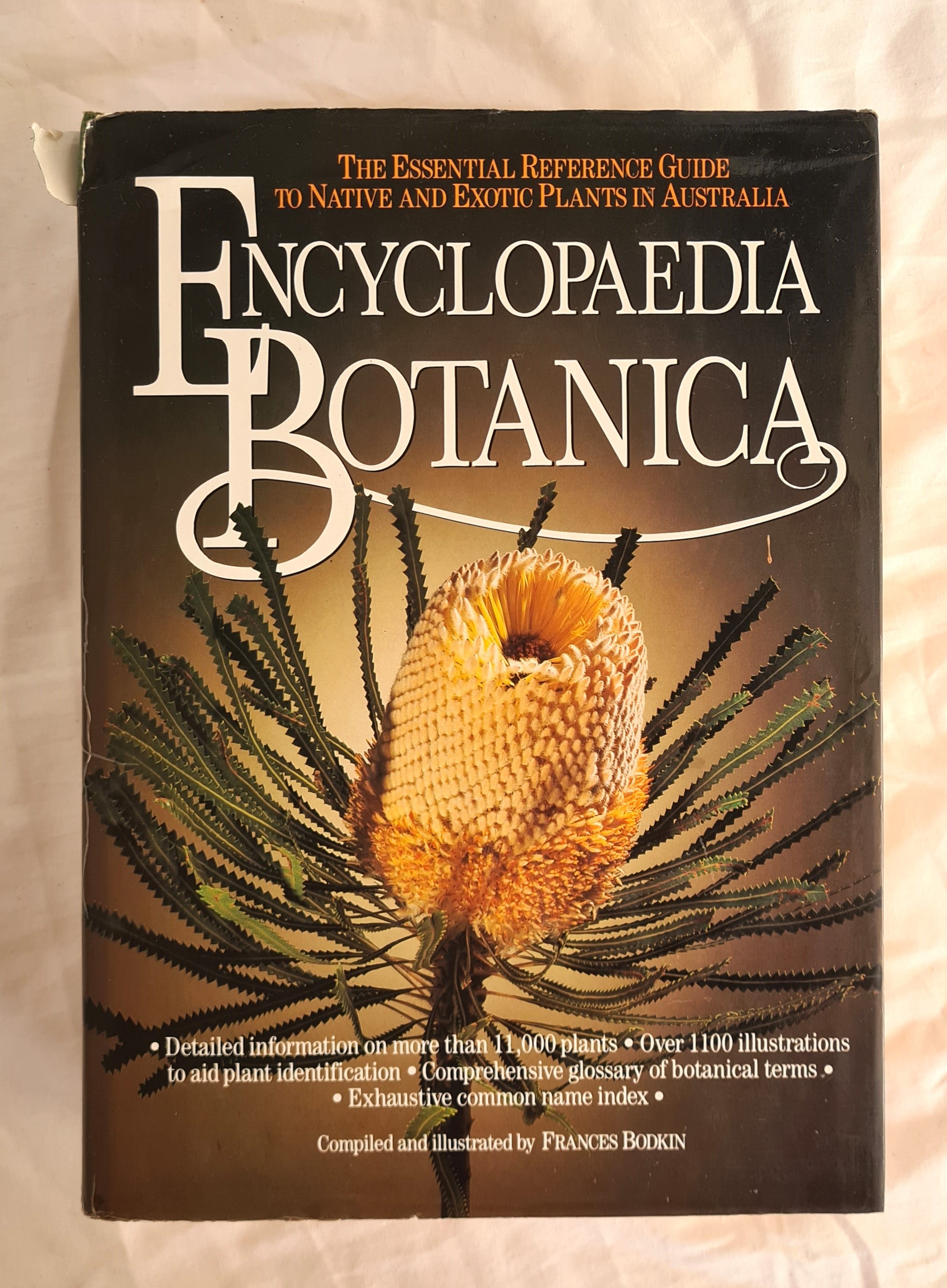 Encyclopaedia Botanica by Frances Bodkin – Morgan's Rare Books