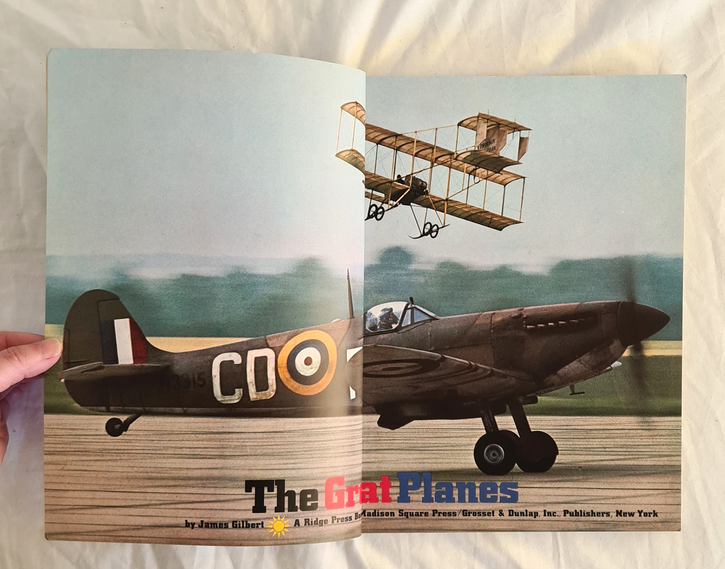 The Great Planes by James Gilbert