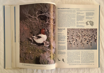 Reader’s Digest Complete Book of Australian Birds