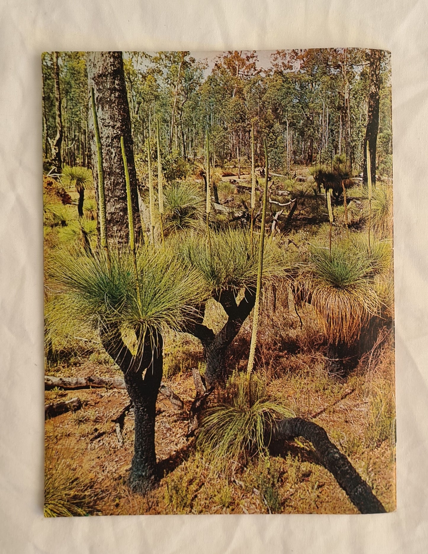 Wildflowers of Western Australia by R. D. Royce