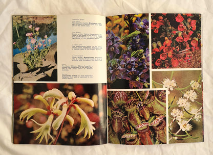 Wildflowers of Western Australia by R. D. Royce