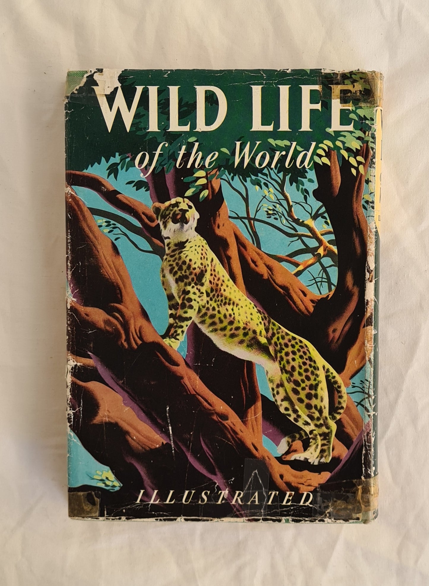 Wild Life of the World by Dr. Maurice Burton