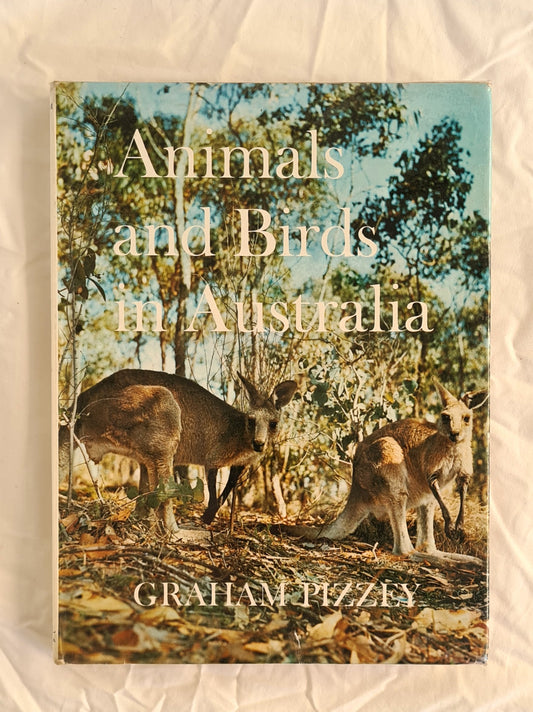 Animals and Birds in Australia by Graham Pizzey