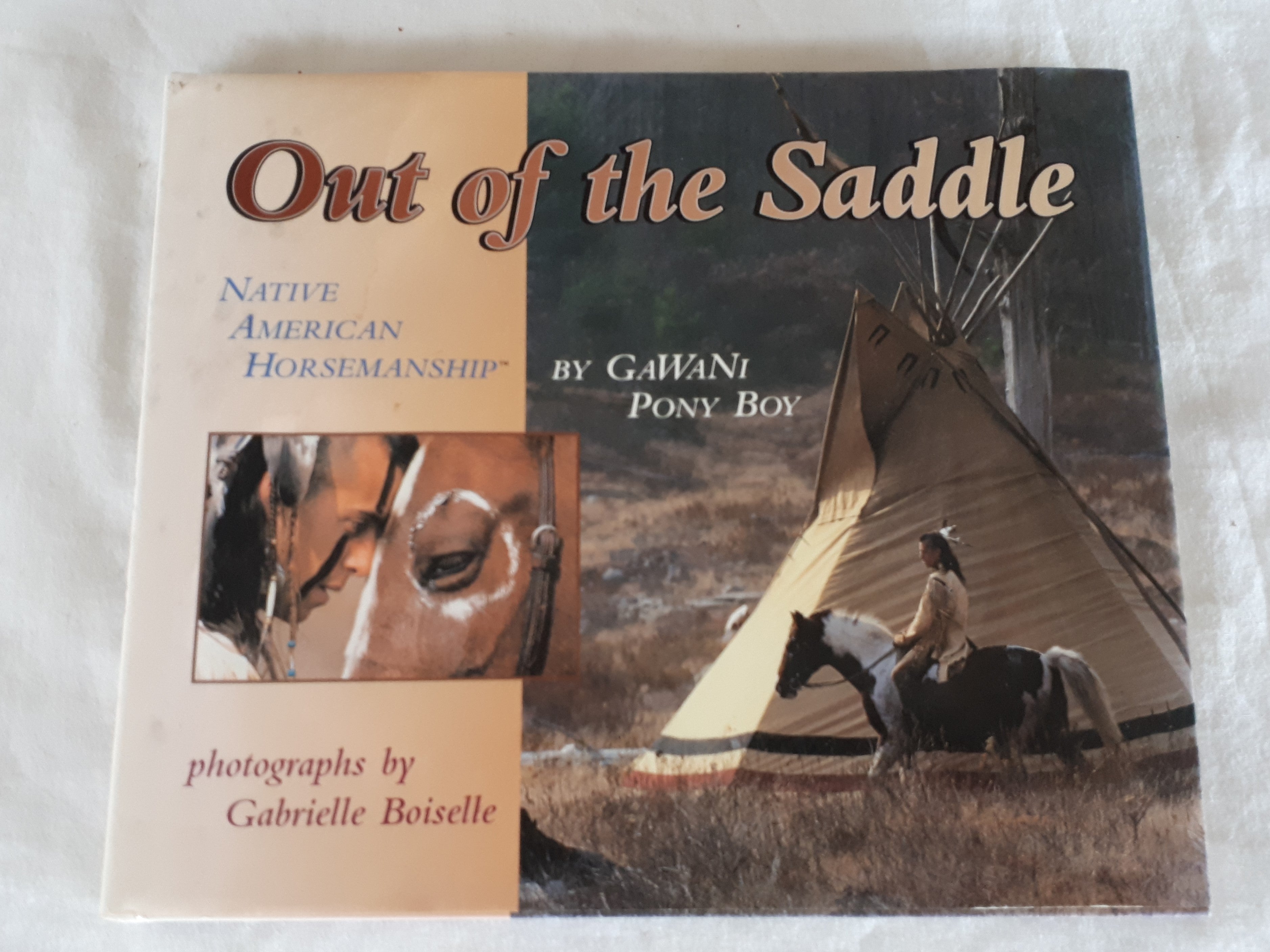 Out of the Saddle by GaWaNi Pony Boy – Morgan's Rare Books