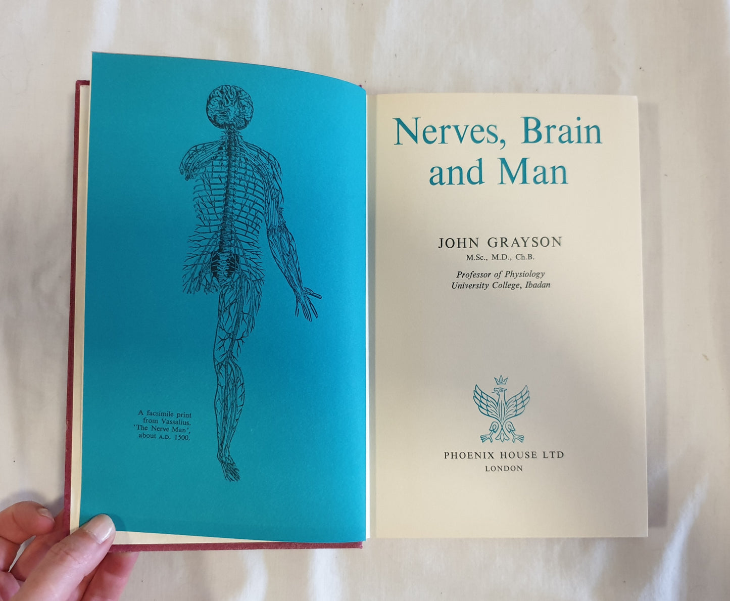 Nerves, Brain and Man by John Grayson