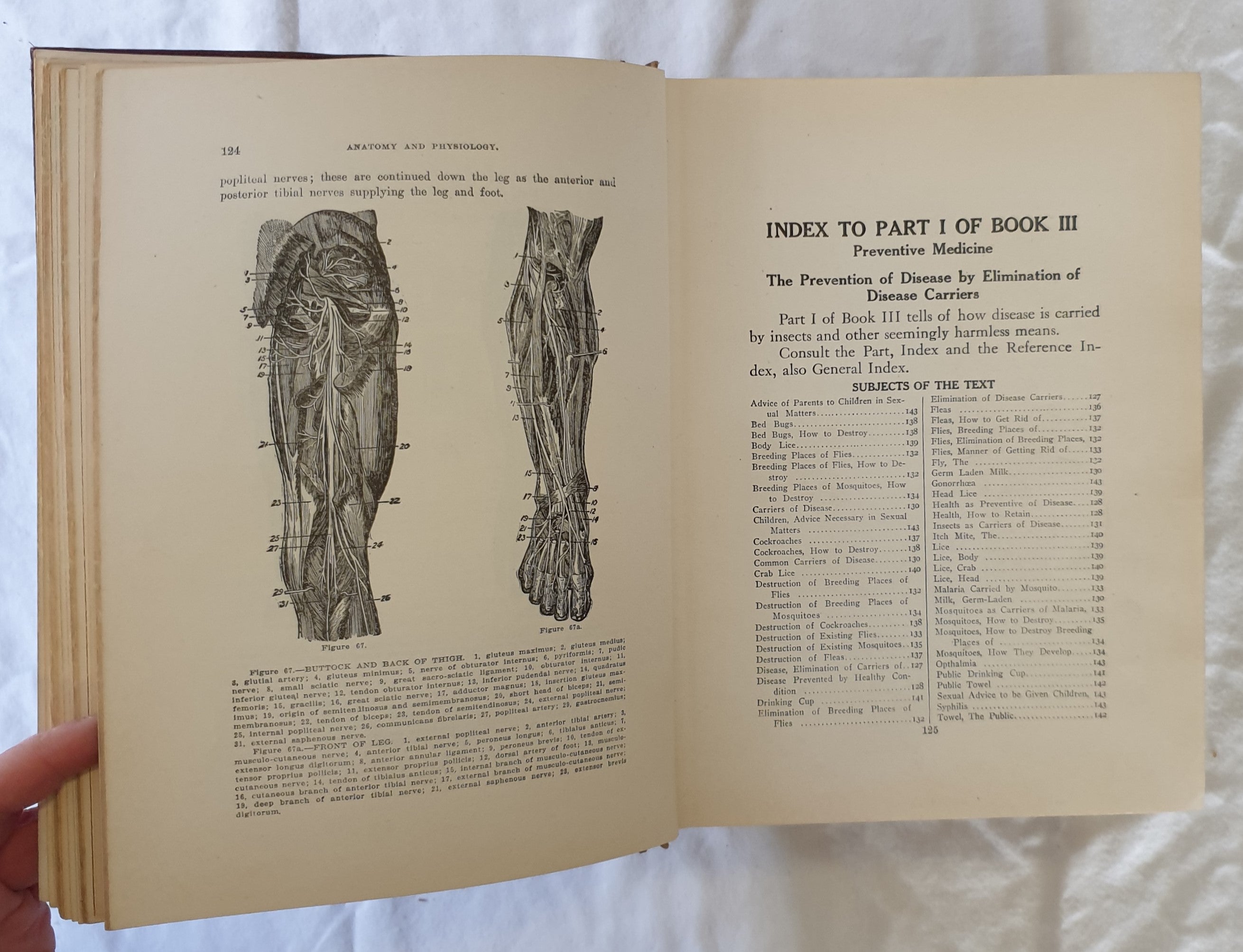 Antique Medical Book / hotsell Library of Health