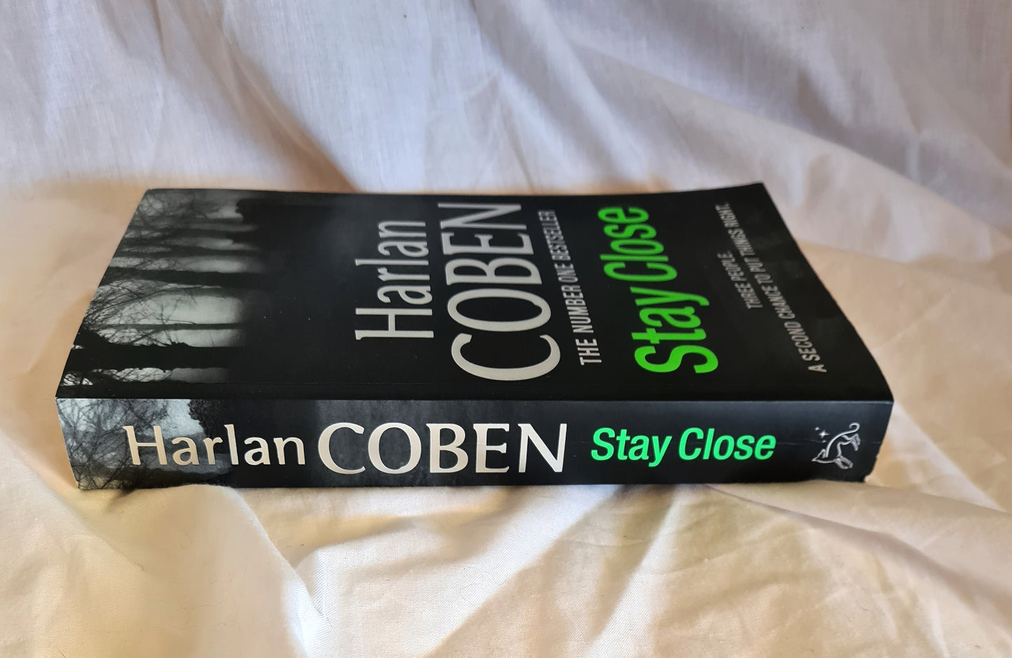 Stay Close by Harlan Coben