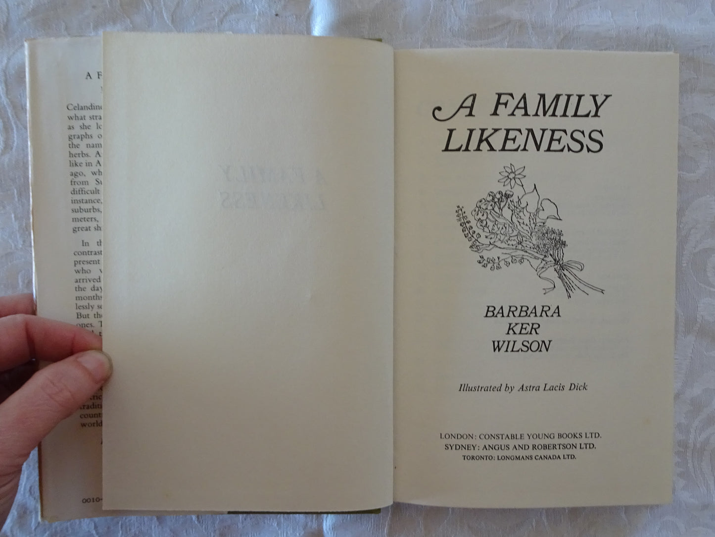 A Family Likeness by Barbara Ker Wilson