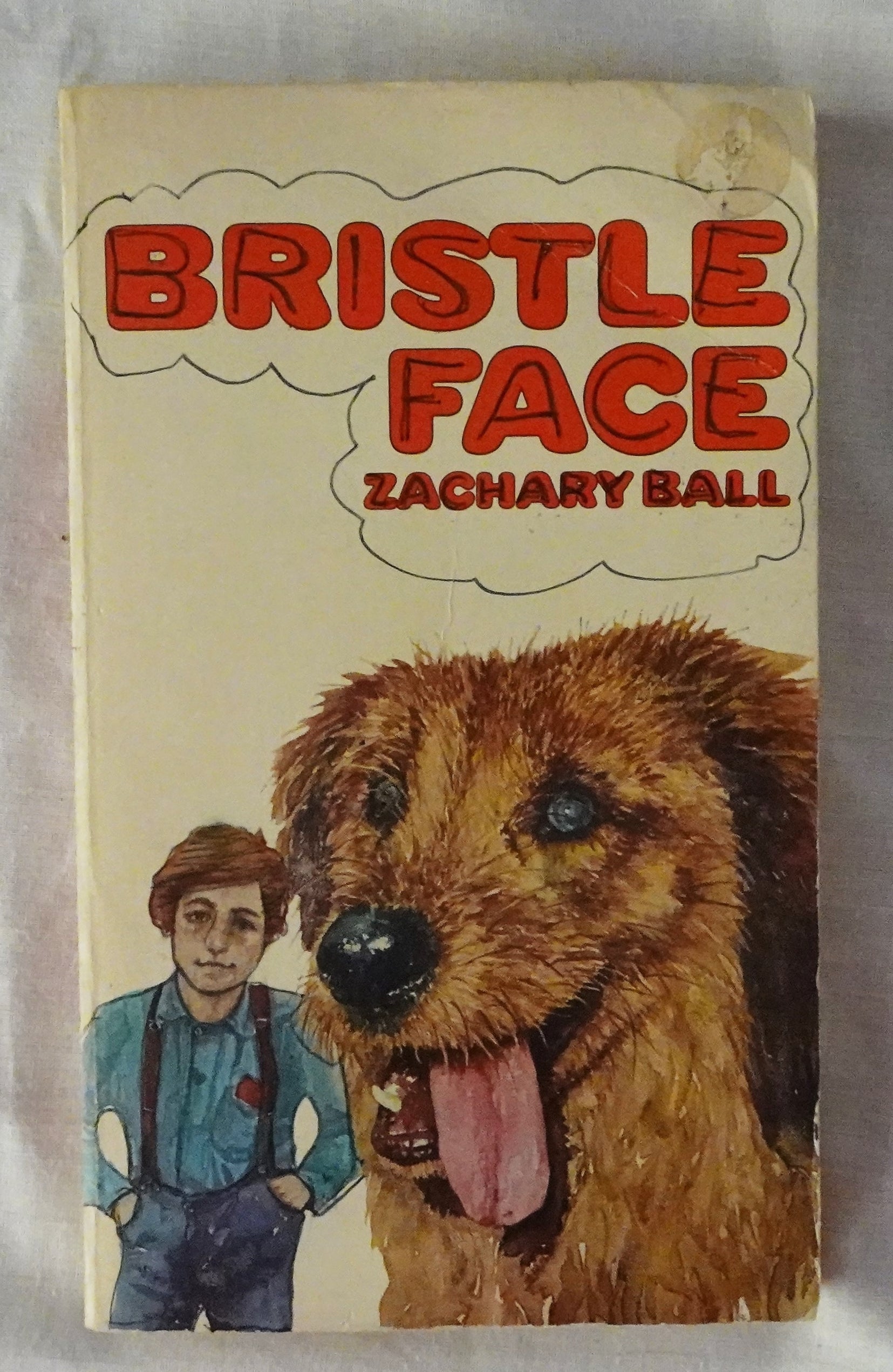 Bristle Face by Zachary Ball