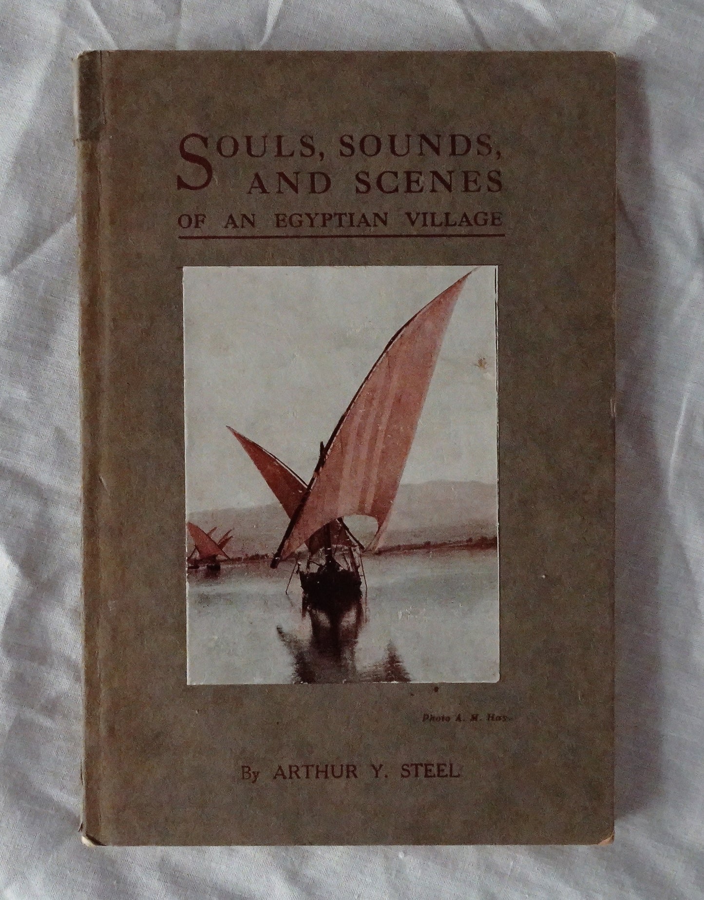 Souls, Sounds, and Scenes of an Egyptian Village  by Arthur Y. Steel