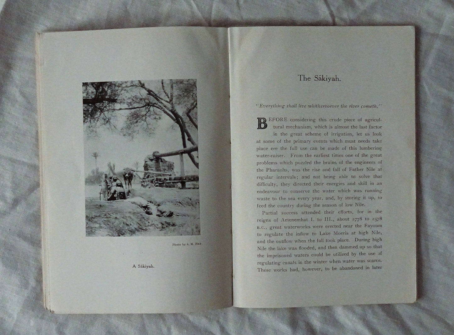 Souls, Sounds, and Scenes of an Egyptian Village by Arthur Y. Steel