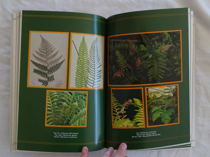 Ferns for the Home and Garden by Gillean Dunk