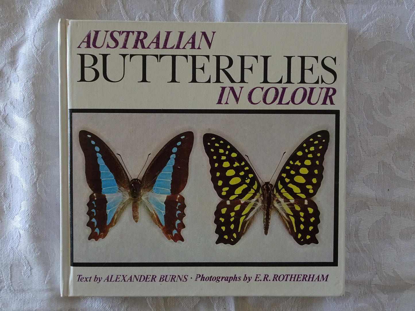 Australian Butterflies in Colour by Alexander Burns