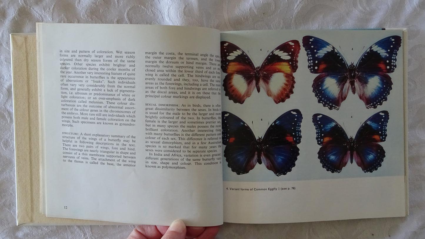 Australian Butterflies in Colour by Alexander Burns